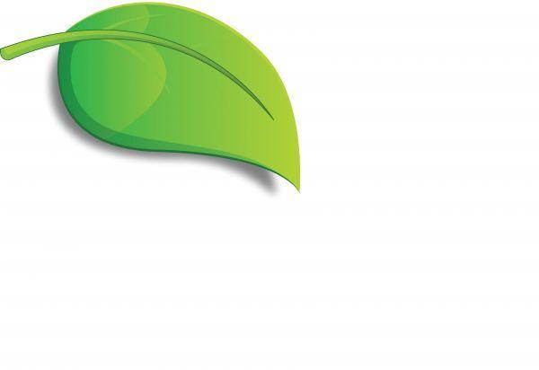 Single Green Leaf Logo - Environmental leaf - stock photo free