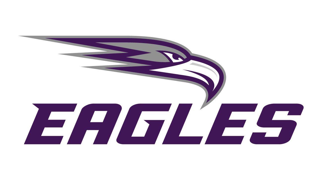 purple eagle logo