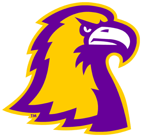 Purple Eagle Logo - Tennessee Tech Golden Eagles Alternate Logo Division I S T