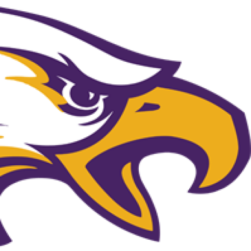 Purple Eagle Logo - Avon Athletics