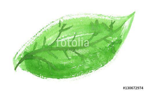 Single Green Leaf Logo - Single big green leaf painted in watercolor on clean white