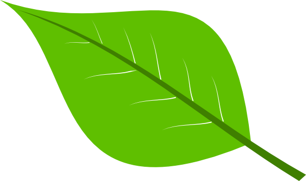 Single Green Leaf Logo - Tea vector single green leaf HUGE FREEBIE! Download