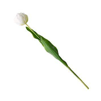 Single Green Leaf Logo - Artificial Single Flower Plant Stem Open White Tulip Petals Green ...