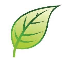 Single Green Leaf Logo - Information about Single Green Leaves Clipart - yousense.info