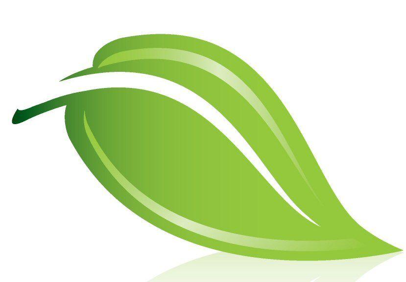 Single Green Leaf Logo - Environmental Clipart single green leave Free Clip Art stock