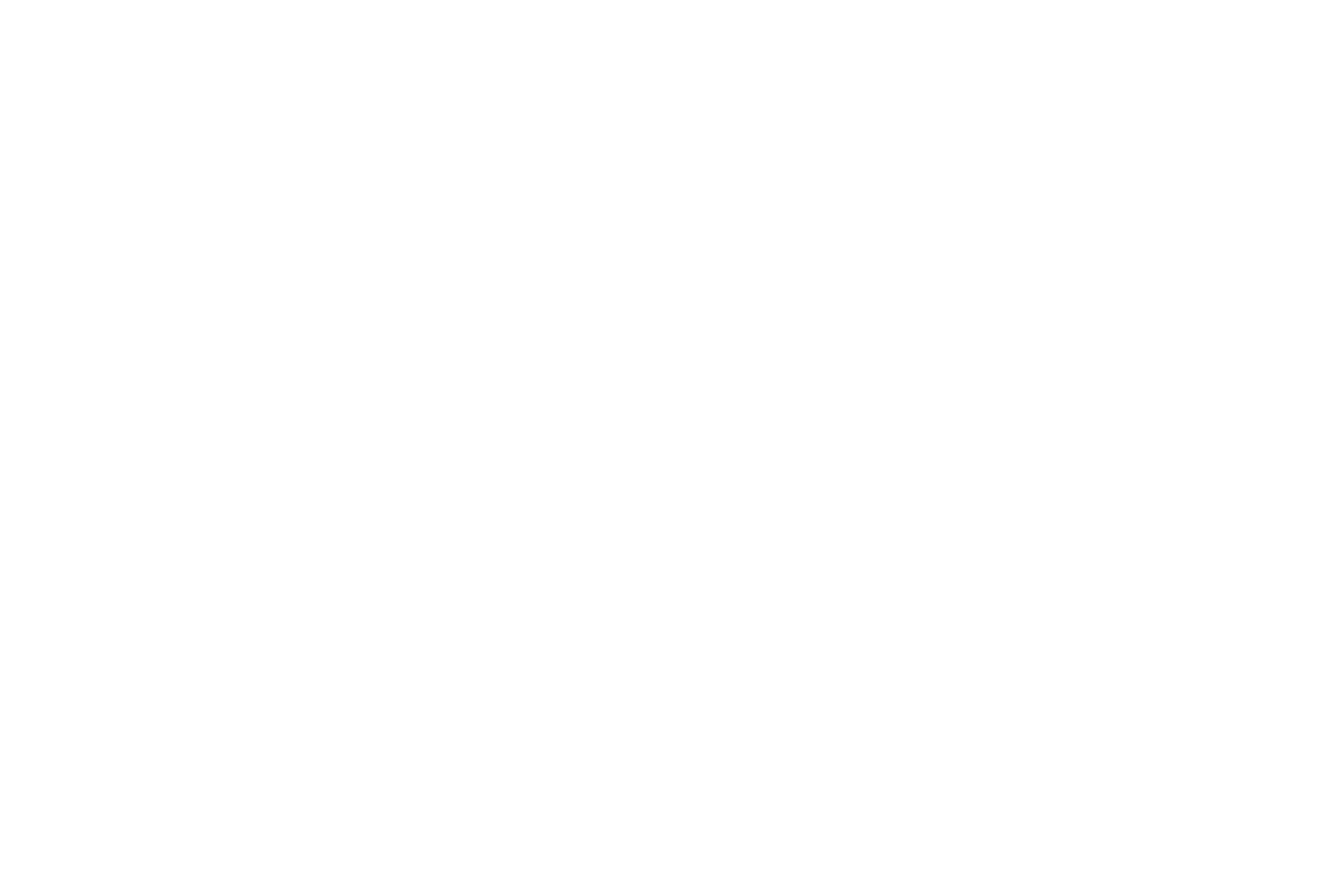Swansea Logo - Swansea's Leisure Complex - Gym, Waterpark & Activity Centre