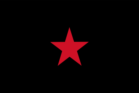 Red Guard Logo - New Red Guard Party Flag | Maoist Wiki | FANDOM powered by Wikia
