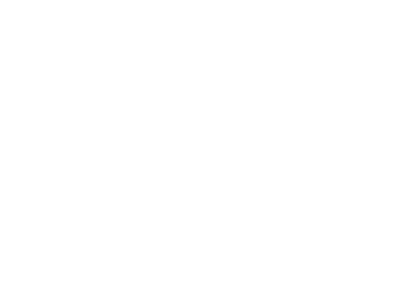 Red Guard Logo - Companies