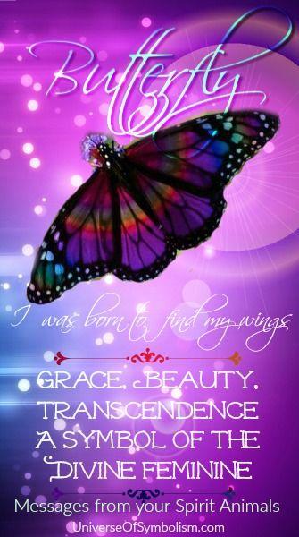 Colored Butterfly Logo - Butterfly Symbolism & Butterfly Meaning | Spirit Animal Guidance