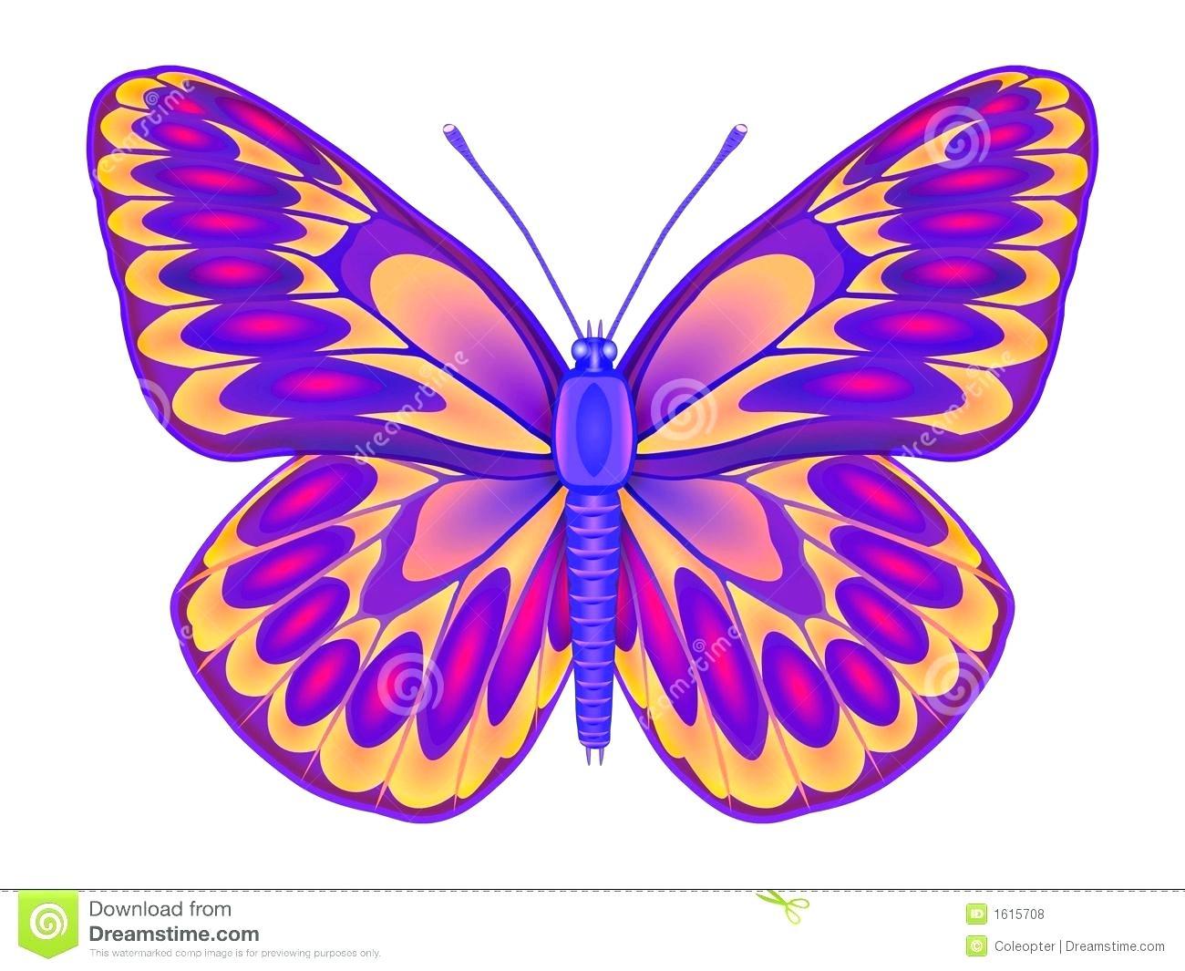 Colored Butterfly Logo - Butterfly Colored Pictures Colored Butterfly Logo Stock Vector ...