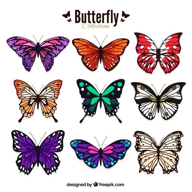 Colored Butterfly Logo - Butterfly Colored Pictures Butterfly Colorful Butterfly Pictures To ...