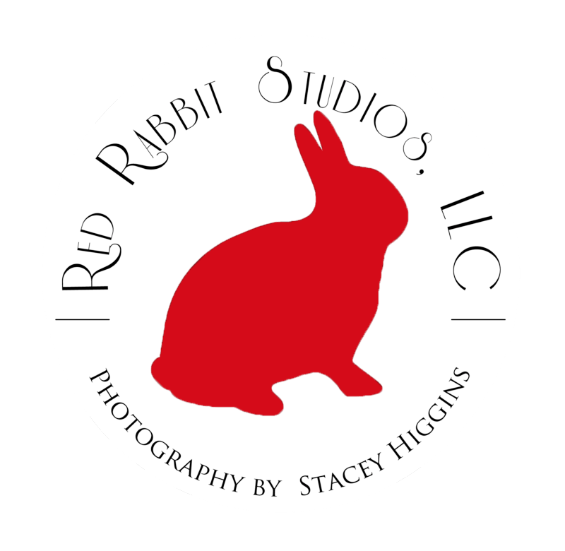 Red Rabbit Logo - Red Rabbit Logo