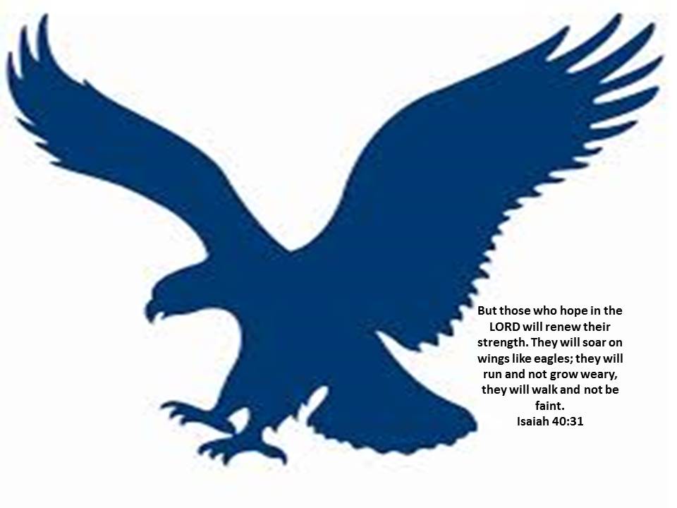 Navy Blue Eagle Logo - NEW WAY LEADERSHIP ACADEMY - About Us