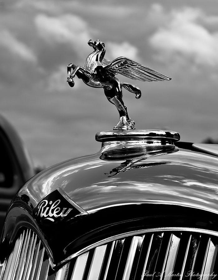 Pegasus Car Logo - Pegasus Rising by Paul Martin. Cars and Bikes