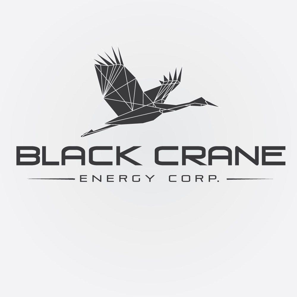 Black Bird GA Logo - Black Bird Ga Logo