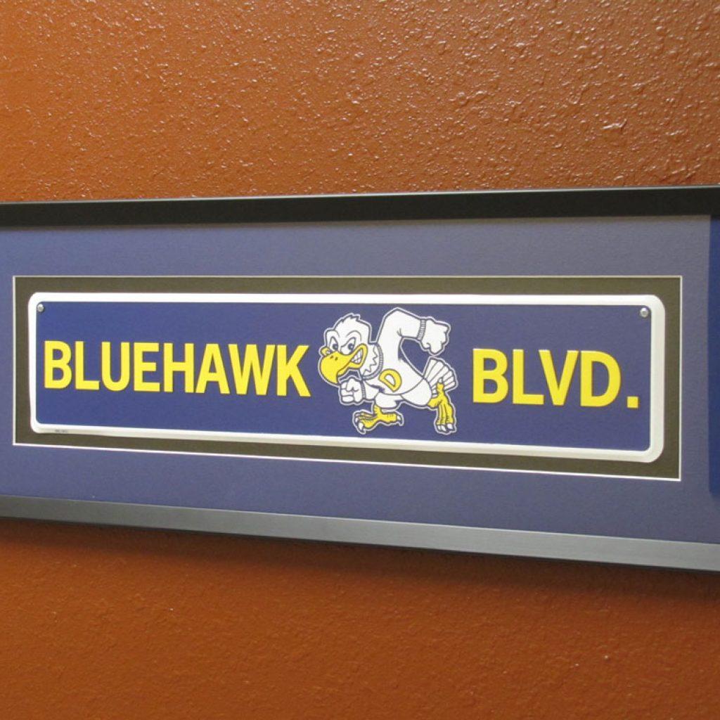 Orange and Blue Hawk Logo - An Inside Look at the BAC – Henry Biesiot Activities Center