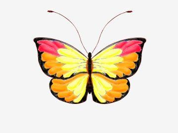 Red and Yellow Butterfly Logo - Yellow Butterfly PNG Images | Vectors and PSD Files | Free Download ...