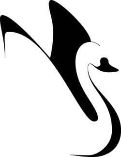Swan Company Logo - Portfolio - Igbi Design