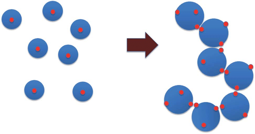 Red Blue Circular Logo - Schematic of percolation mechanism. Blue circles are polymer coils ...