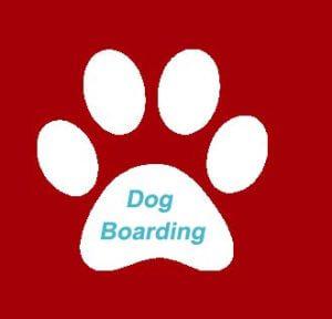 White Dog Red Background Logo - Downtown Dog Daycare, Dog Boarding, Dog Grooming, Dog Training