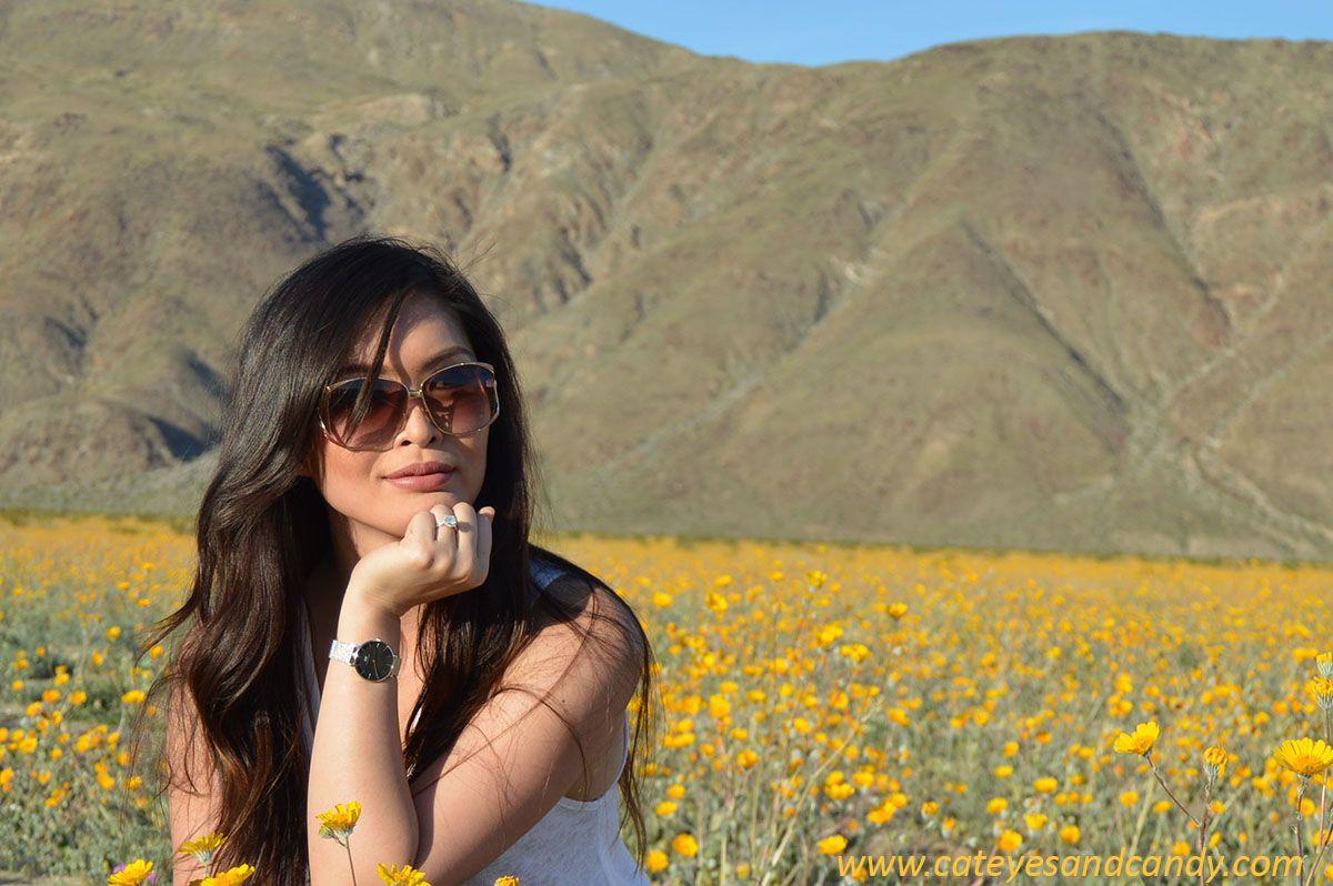 Yellow Bloom Logo - Super Bloom: A Sea of Yellow Flowers - Cat Eyes & Candy - Fashion ...