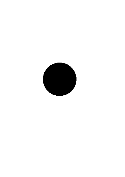 White with Black Dot Circle Logo - The Black Spot. Making a Difference