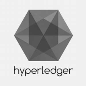 Hyperledger Logo - Hyperledger Development with in 21 days — Day 4 – Seetharaman Gr ...