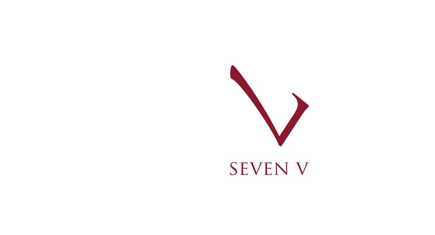 V Company Logo - Seven V. Jake