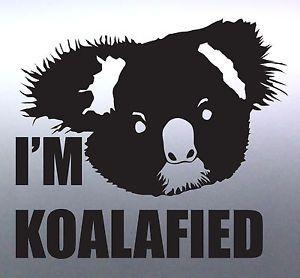 Funny Australian Logo - Im koalafied cute koala Funny Australian Animals Driving licence
