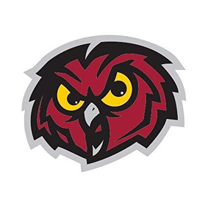 Owl Head Logo - Amazon.com : CollegeFanGear Temple Small Decal 'Owl Head' : Sports