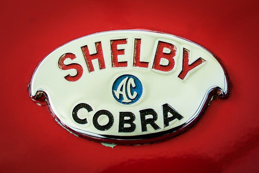 AC Cobra Logo - Shelby Ac Cobra Emblem -0282c Photograph by Jill Reger