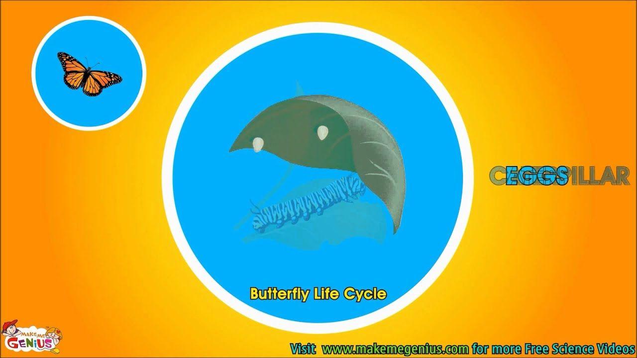 Blue Butterfly Logo - Butterfly Life Cycle Video for Kids -Science for Kids