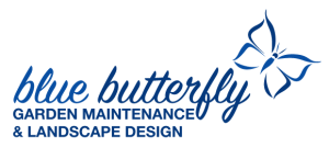 Blue Butterfly Logo - Contact Us | Blue Butterfly GM | Doncaster