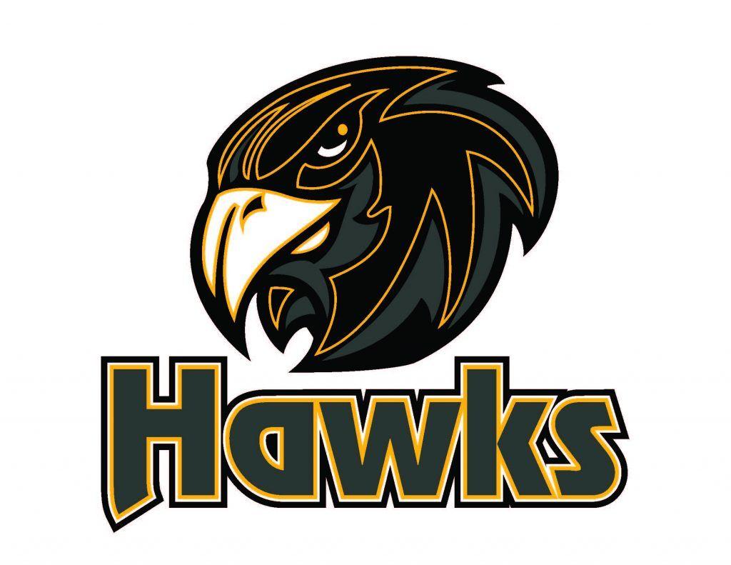 Hawk Head Logo - Lively-hawk-head-logo-1024x791 - KiSS 105.3 Sudbury