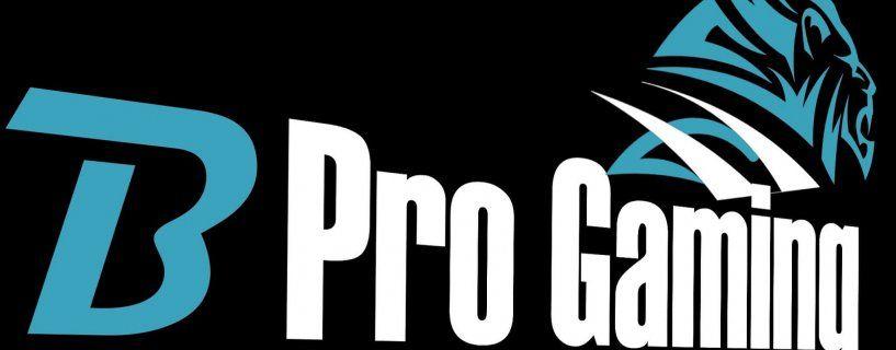 Pro Gaming Logo - BPro Official logo 2015 | BPro Gaming